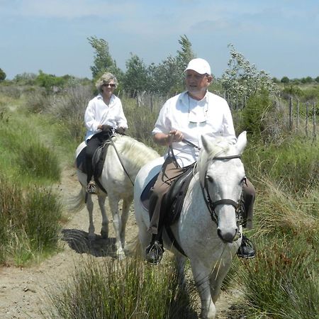 Mas De La Grenouillere Hotel Et Centre Equestre En Pleine Nature سانت ماري دو لا مير المظهر الخارجي الصورة