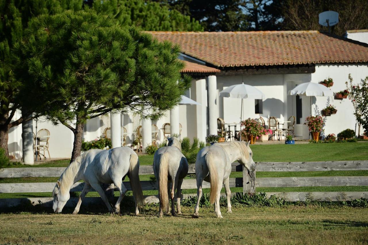 سانت ماري دو لا مير Mas De La Grenouillere Hotel Et Centre Equestre En Pleine Nature المظهر الخارجي الصورة