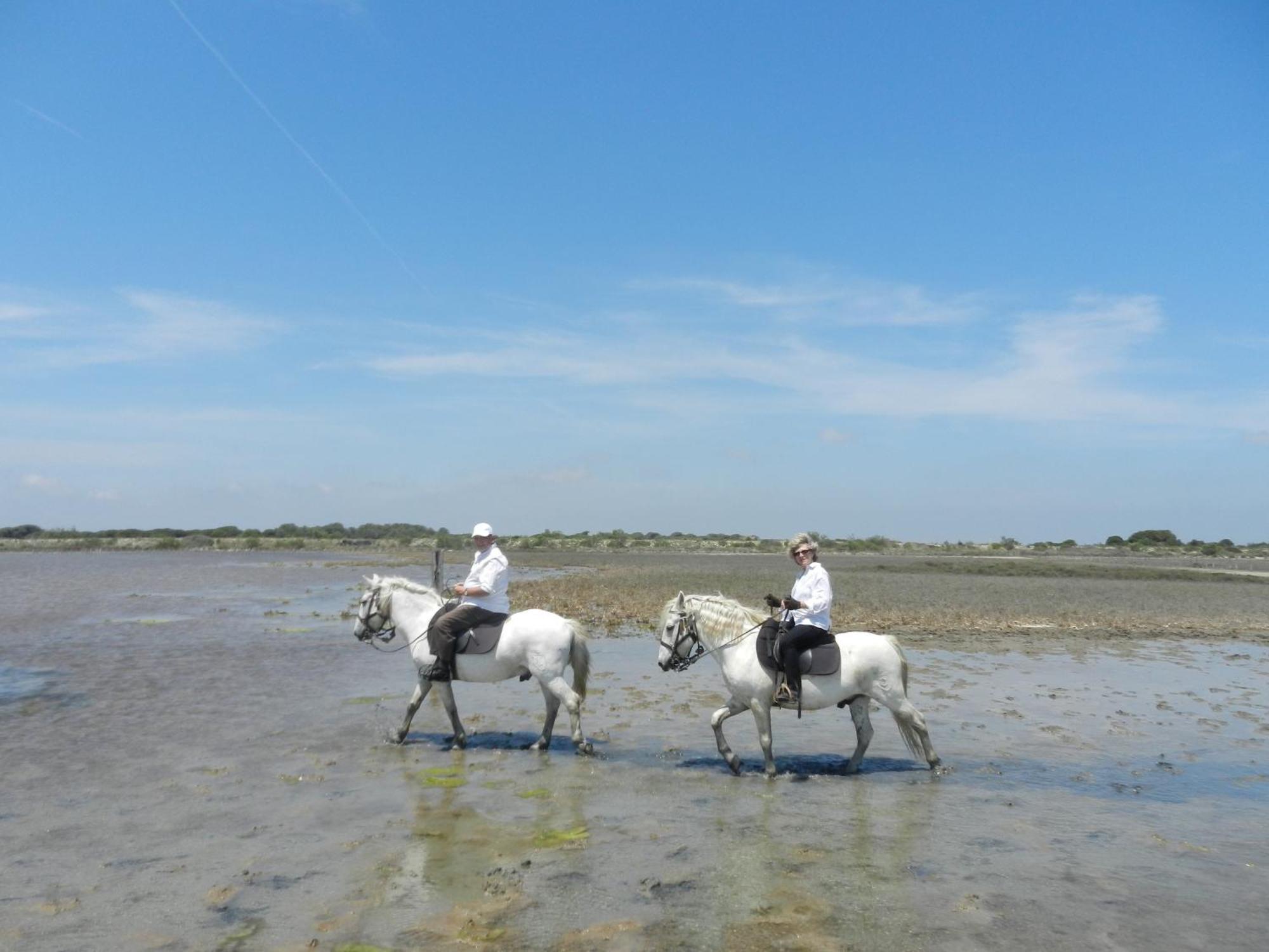 Mas De La Grenouillere Hotel Et Centre Equestre En Pleine Nature سانت ماري دو لا مير المظهر الخارجي الصورة