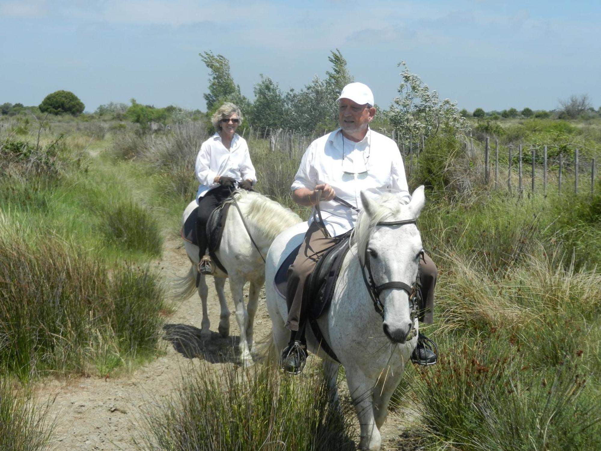 Mas De La Grenouillere Hotel Et Centre Equestre En Pleine Nature سانت ماري دو لا مير المظهر الخارجي الصورة